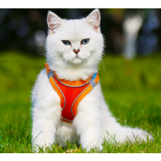 Pet leash cats and dogs chest harness vest-style breathable reflective dog walking rope